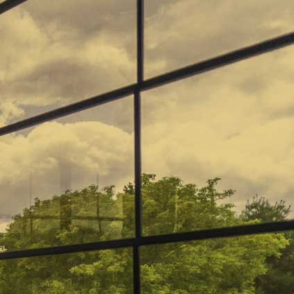 Bronze tint option with a warm tone for glare reduction.