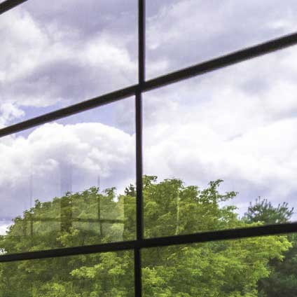 Clear tint option for optimal visibility and natural light.